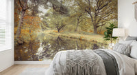 Reflective Woodland River Path Wall Mural