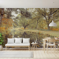 Reflective Woodland River Path Wall Mural