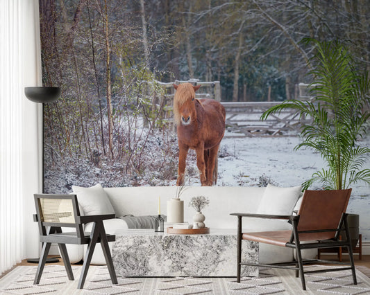Rustic Winter Woodland Pony Wall Mural