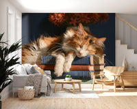 Calico Cat Sleeping on Stack of Old Books Wall Mural