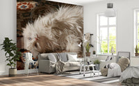 White Persian cat resting on terracotta and blue Mediterranean tiles wall mural, GD13119