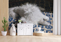 Resting Fluffy Cat on Mediterranean Tiles Wall Mural