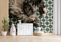 Resting Maine Coon on Geometric Tile Wall Mural