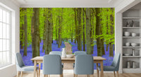 Verdant Spring Woodland Walkway Wall Mural