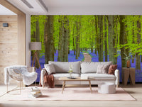 Verdant Spring Woodland Walkway Wall Mural