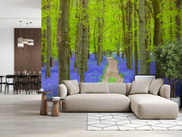 Verdant Spring Woodland Walkway Wall Mural
