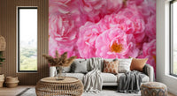 Soft Pink Peony Bloom Field Wall Mural