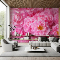 Soft Pink Peony Bloom Field Wall Mural