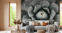 Desert Succulent Symmetry Wall Mural