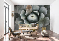 Desert Succulent Symmetry Wall Mural