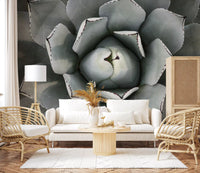 Desert Succulent Symmetry Wall Mural