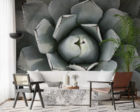 Desert Succulent Symmetry Wall Mural