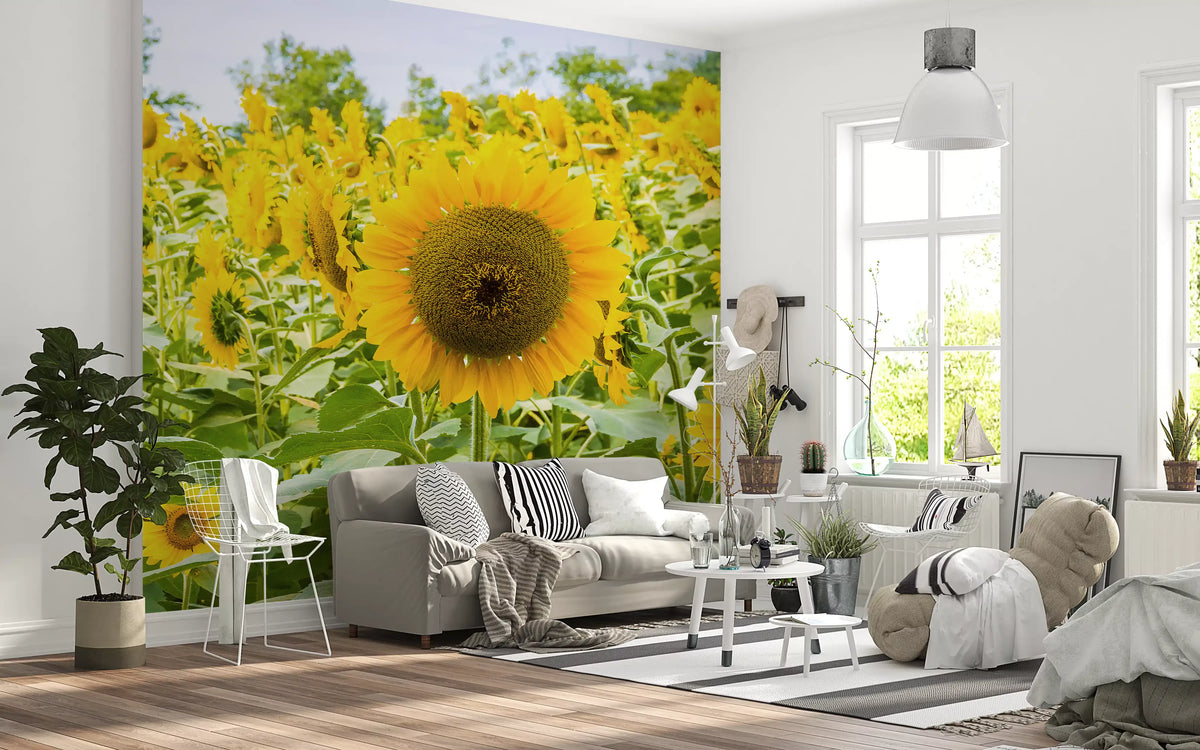 Golden Sunflower Field Meadow Wall Mural