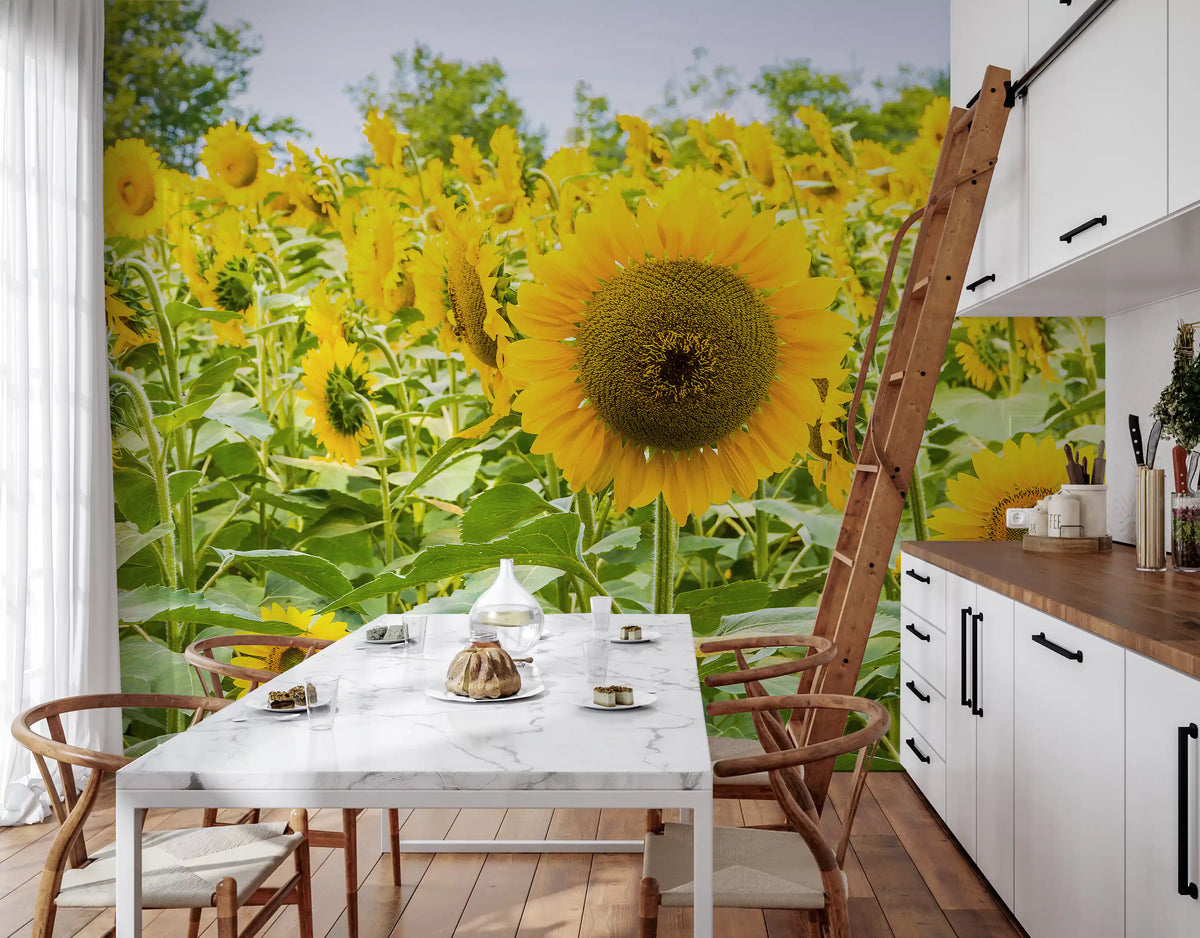 Golden Sunflower Field Meadow Wall Mural