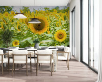 Golden Sunflower Field Meadow Wall Mural