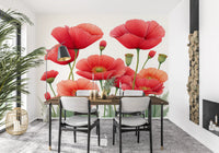 Crimson Poppies in Bloom Wall Mural