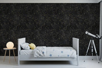 Eternal Star Atlas - Charcoal Wallpaper⁠