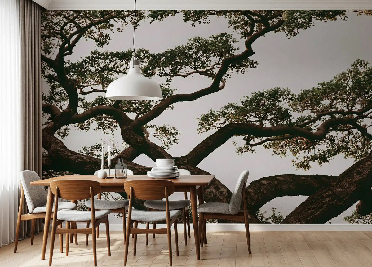 Ancient Canopy Silhouette Wall Mural