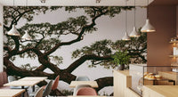 Ancient Canopy Silhouette Wall Mural