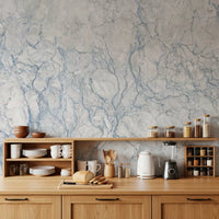 Arctic Veined Marble Texture Wall Mural