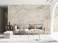 Cream Stone Vein Texture Wall Mural