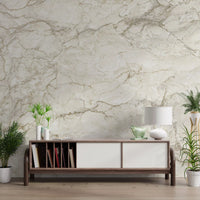 Cream Stone Vein Texture Wall Mural