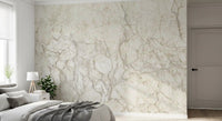 Classic Cream Marble Stone Wall Mural