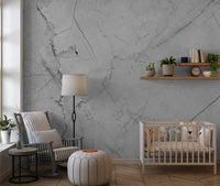 Minimalist Grey Marble Veining Wall Mural