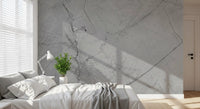 Minimalist Grey Marble Veining Wall Mural
