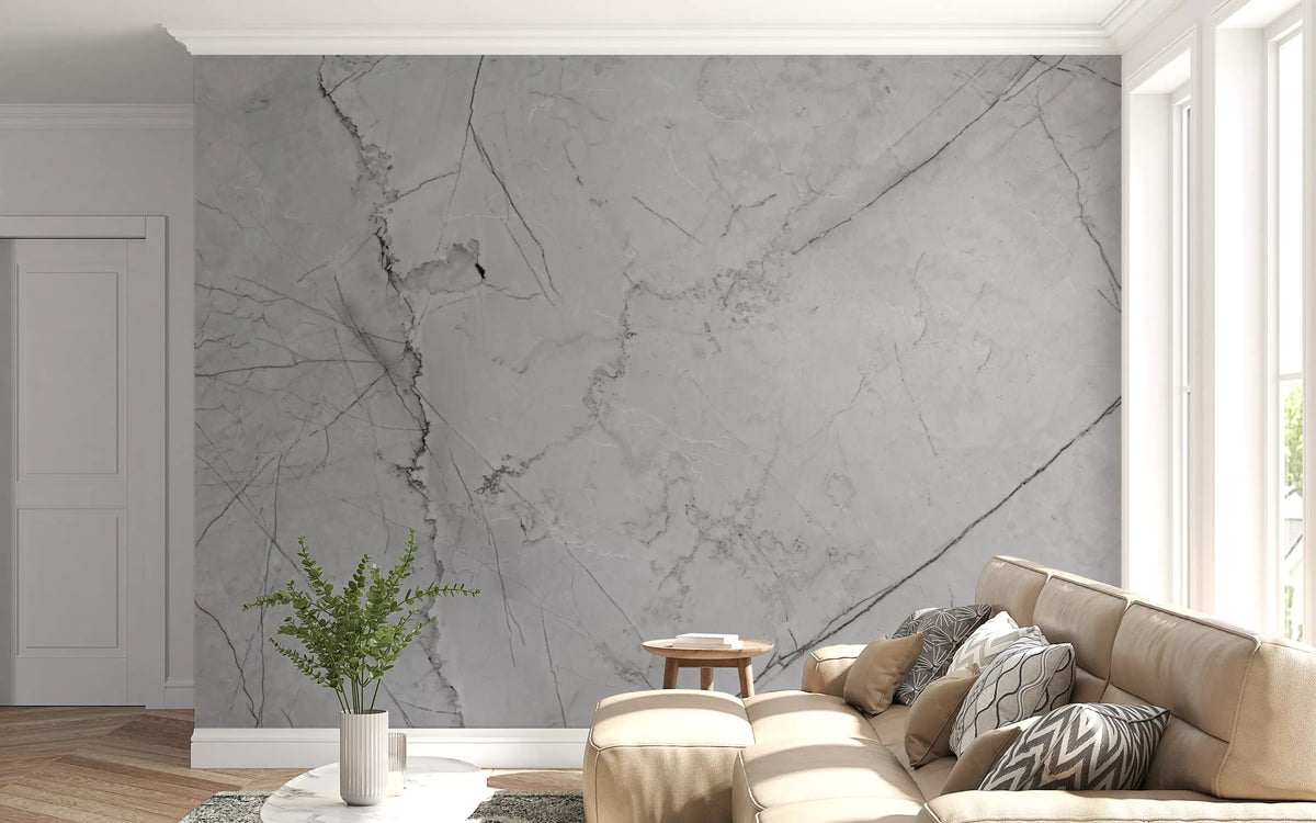 Minimalist Grey Marble Veining Wall Mural