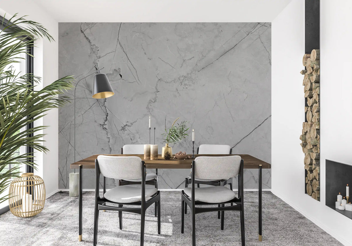 Minimalist Grey Marble Veining Wall Mural