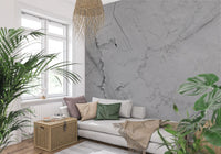 Minimalist Grey Marble Veining Wall Mural