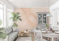 Soft Peach Marble Stone Texture Wall Mural