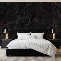 Midnight Obsidian Veins Wall Mural