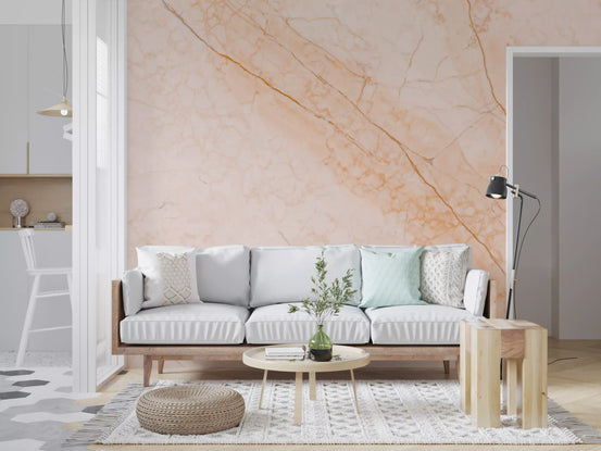 Soft Peach Marble Stone Wall Mural