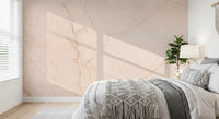Blush Marble Vein Stone Wall Mural
