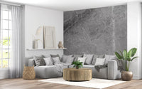 Monochromatic Grey Marble Slab Wall Mural