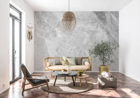 Cool Grey Marble Vein Slab Wall Mural