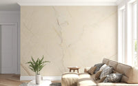 Cream Marble Stone Texture Wall Mural