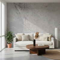Monochromatic Stone Vein Texture Wall Mural