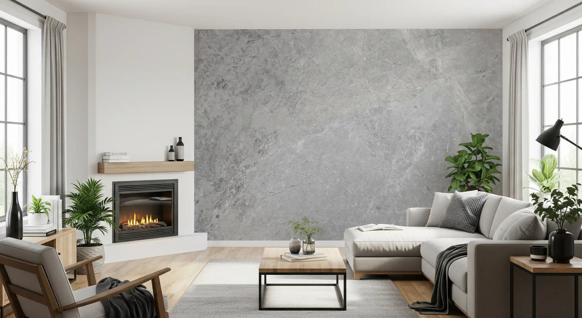 Classic Light Gray Stone Marble Wall Mural
