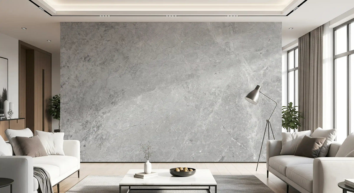 Classic Light Gray Stone Marble Wall Mural