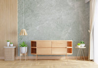 Serene Sage Marble Texture Wall Mural