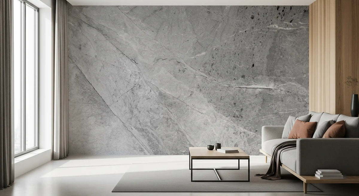 Minimalist Cool Grey Marble Slab Wall Mural
