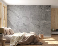Minimalist Cool Grey Marble Slab Wall Mural
