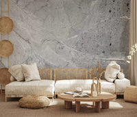 Minimalist Cool Grey Marble Slab Wall Mural