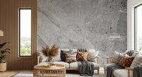 Minimalist Cool Grey Marble Slab Wall Mural