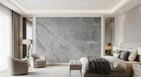 Minimalist Cool Grey Marble Slab Wall Mural