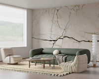 Cream and Charcoal Vein Marble Wall Mural