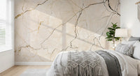 Cream and Charcoal Vein Stone Wall Mural
